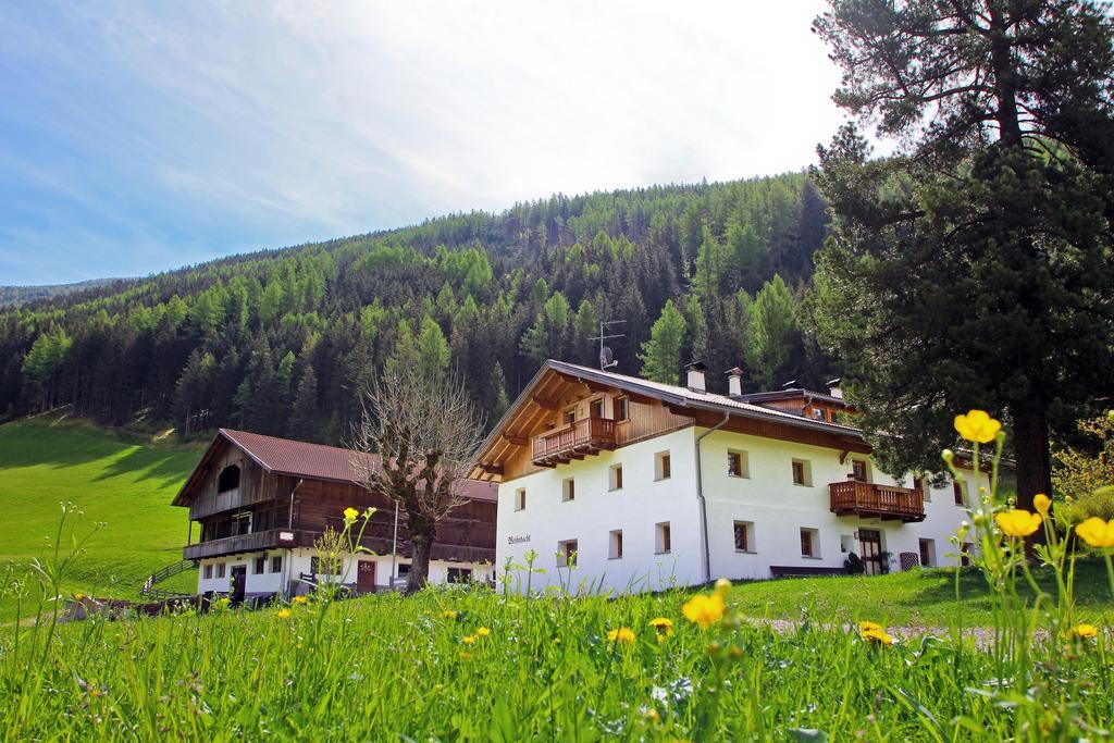 Weissnbachlhof Villa Ahrntal Esterno foto